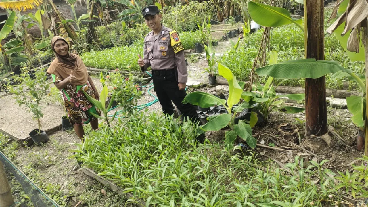 Dukung Ketahanan Pangan, Bhabinkamtibmas Polsek Lengkong Panen Kangkung dan Terong di Lahan Warga