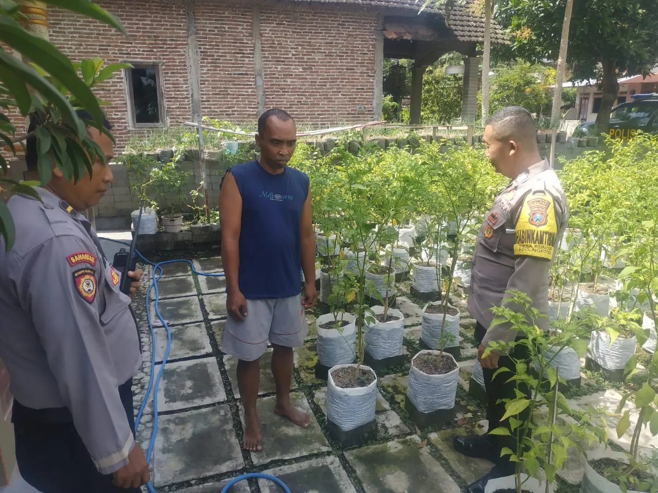 Polsek Ngetos Dukung Ketahanan Pangan, Pantau Pekarangan Sayur Warga