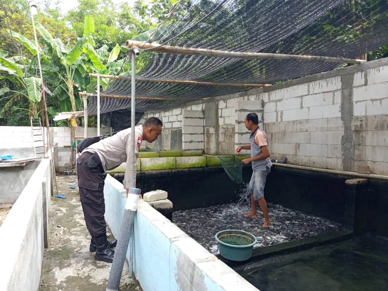 Polres Nganjuk Dukung Budidaya Ikan Lele dan Nila di Lahan Pekarangan