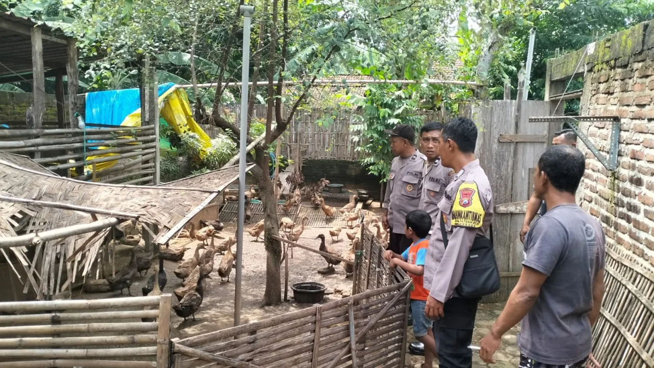 Bhabinkamtibmas Desa Sonopatik Dukung Ketahanan Pangan Lewat Pendampingan Ternak Bebek