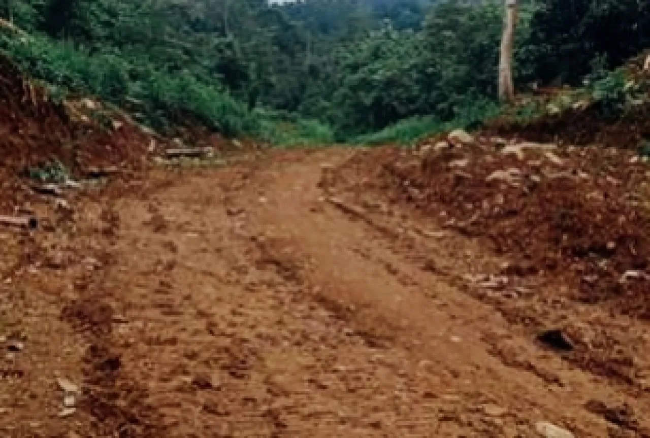 Tambang Emas Ilegal Ko Fanny Guncang Boltim, Hutan Lindung Simbalang Kritis dan Sungai Jebol