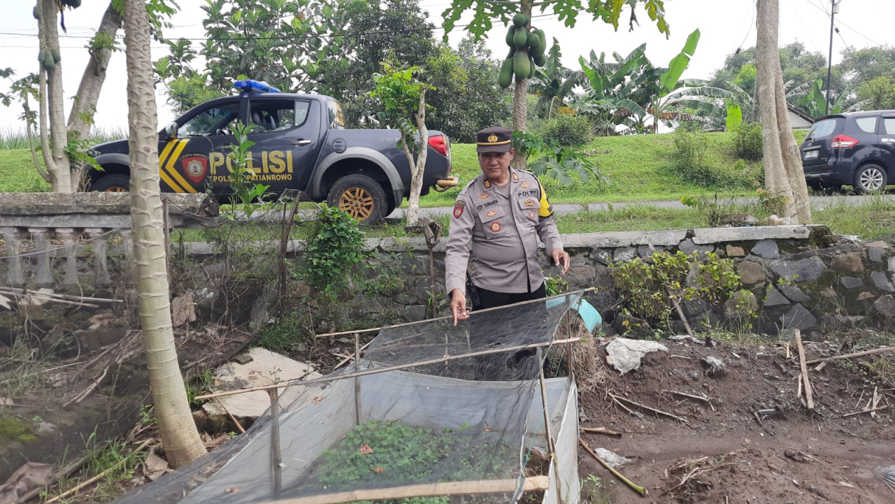 Polsek Patianrowo Dukung Ketahanan Pangan Lewat Pemanfaatan Lahan Pekarangan 