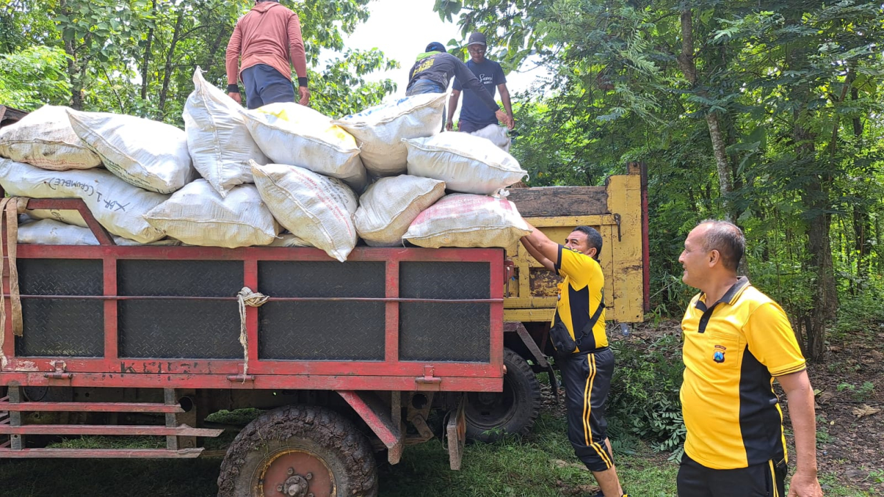Pendampingan Panen Jagung di Wilangan, Wujud Nyata Dukung Ketahanan Pangan