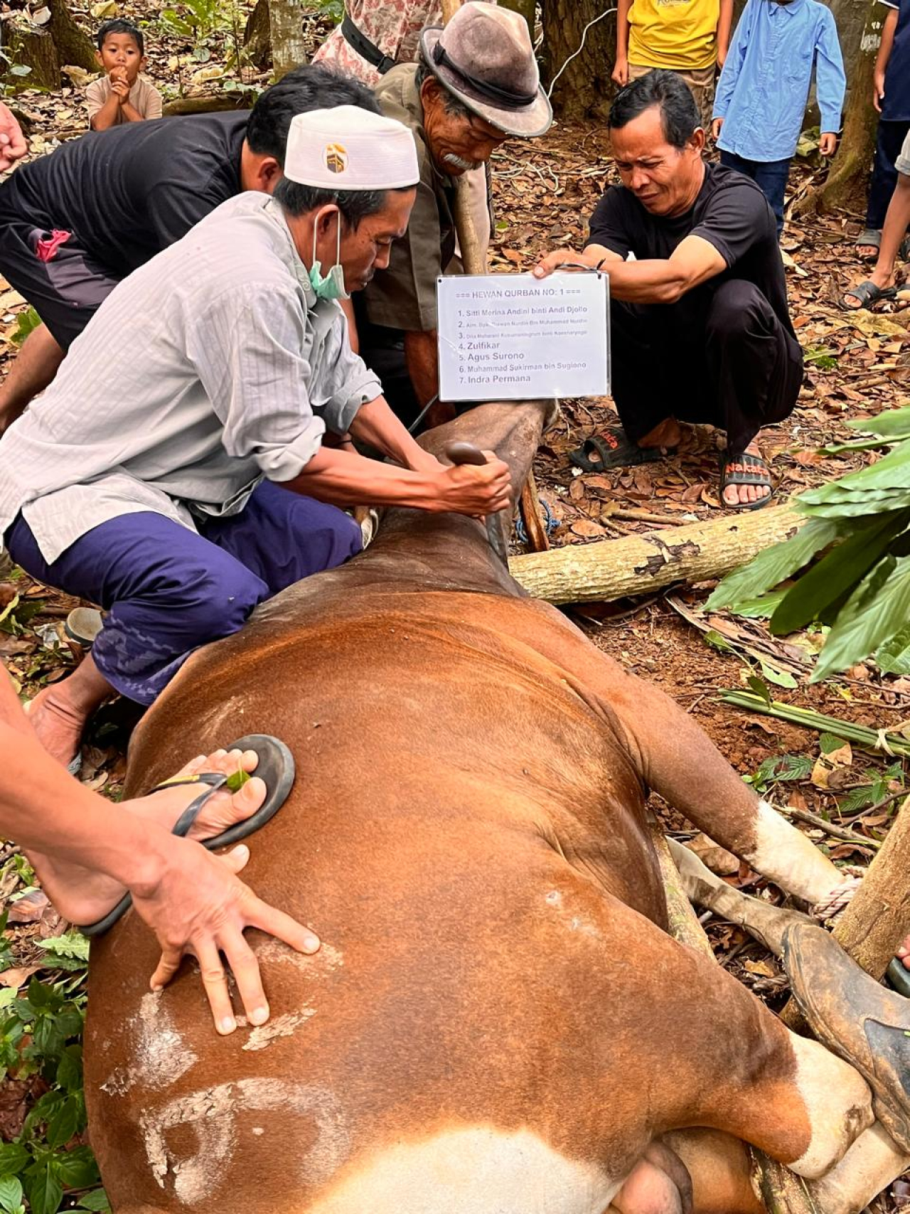 Tiga Ekor Sapi Kurban dari H.Yus Priyadi Usman Asal Depok, Disalurkan ke Kepala Desa Cijaralang Sai