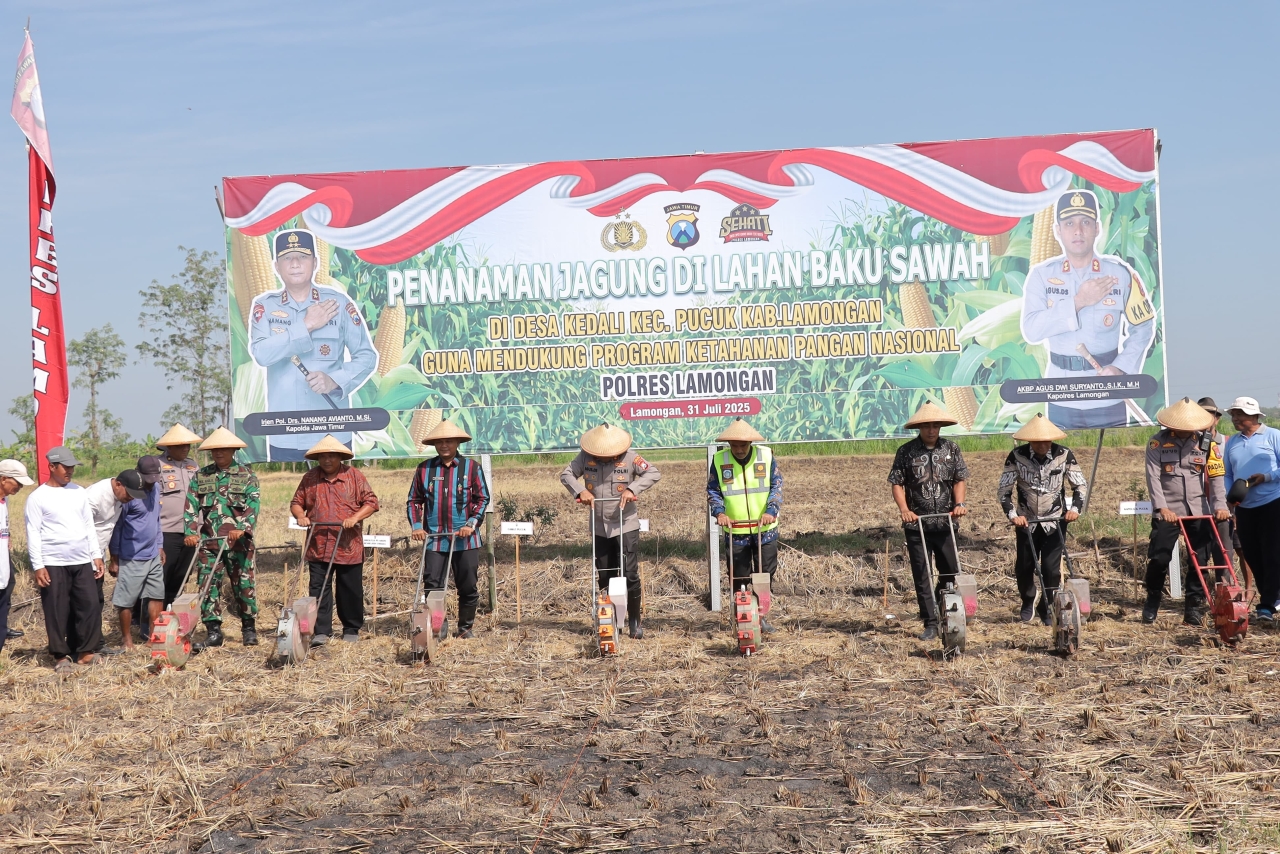 Dukung Ketahanan Pangan Nasional, Polres Lamongan Tanam Jagung di Lahan Baku Desa Kedali