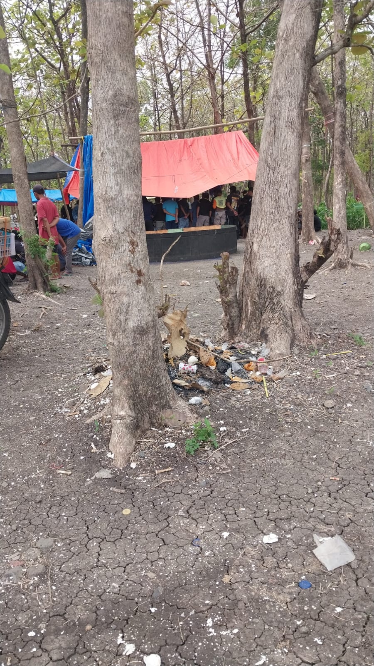 Sabung Ayam di Balongsari Jombang, Kapolres dan Kasat Reskrim Harus Tegas dan Berantas Perjudian 303