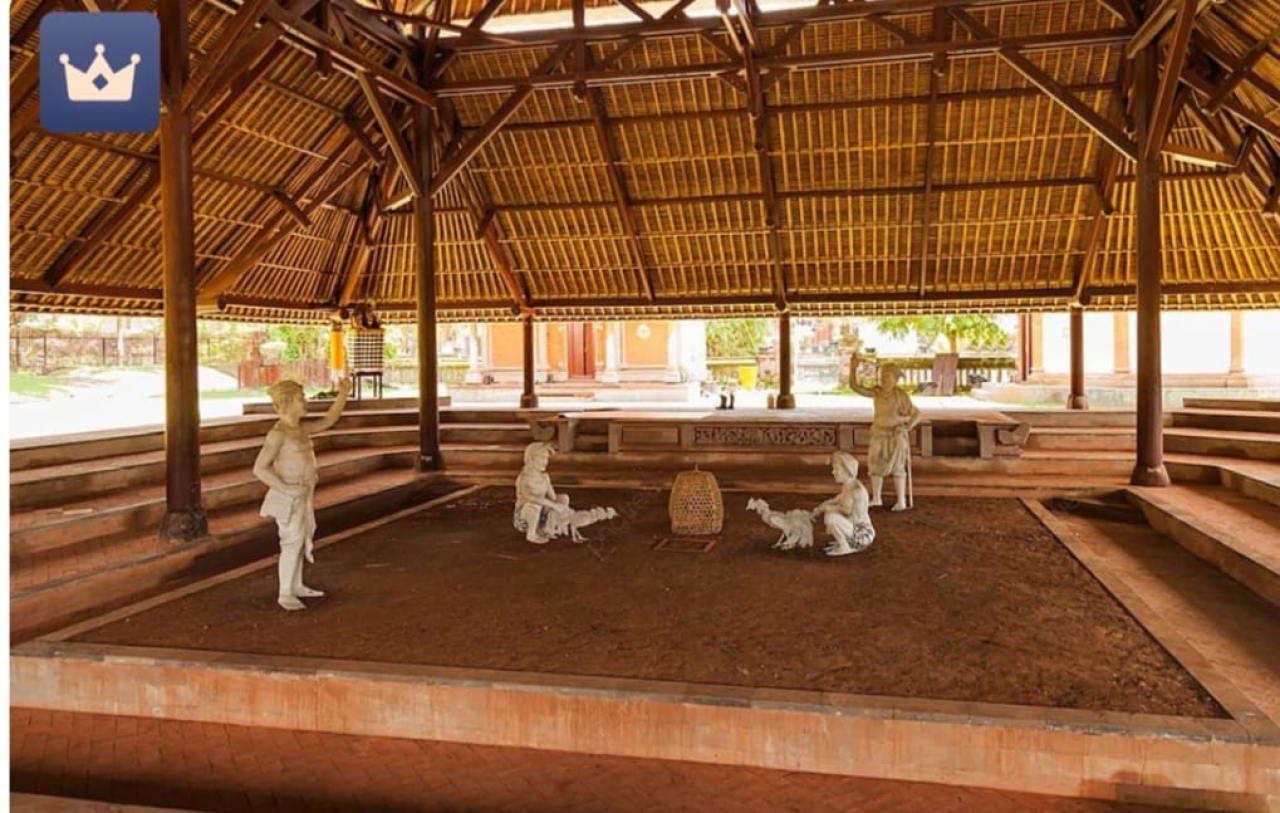 Sabung Ayam Akan Digelar Sabtu dan Minggu Besok, Berhadiah Kapolsek Lekko Pasuruan Segera Ditindaklanjuti