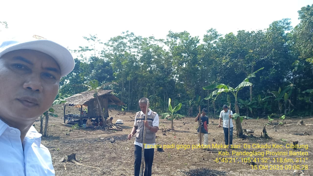 Poktan Mekar Sari Desa Cikadu Gelar Penanaman Padi Gogo, Dihadiri Kepala BPP Kecamatan Cibitung
