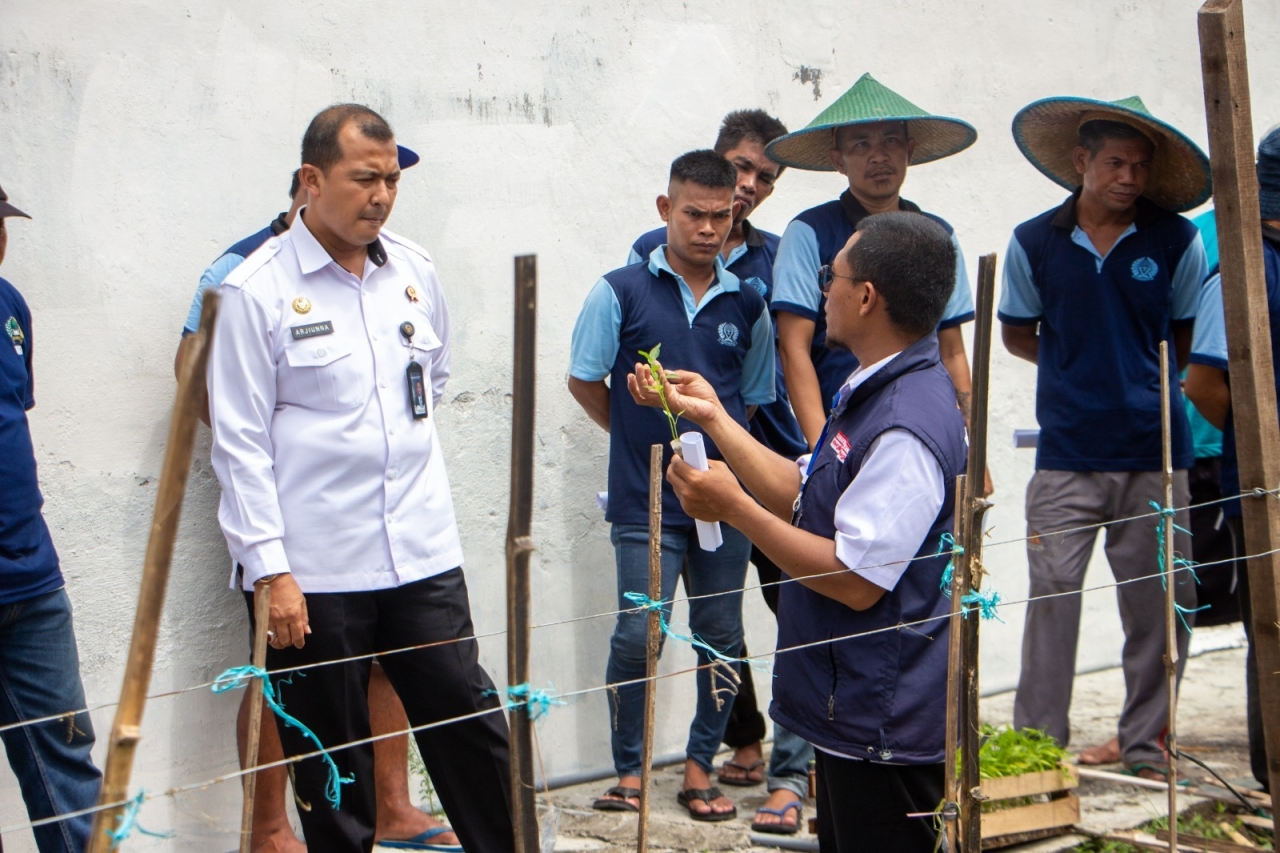 Asah Keterampilan Bertani, Lapas I Madiun Gelar Pelatihan Menanam Cabai bagi Warga Binaan