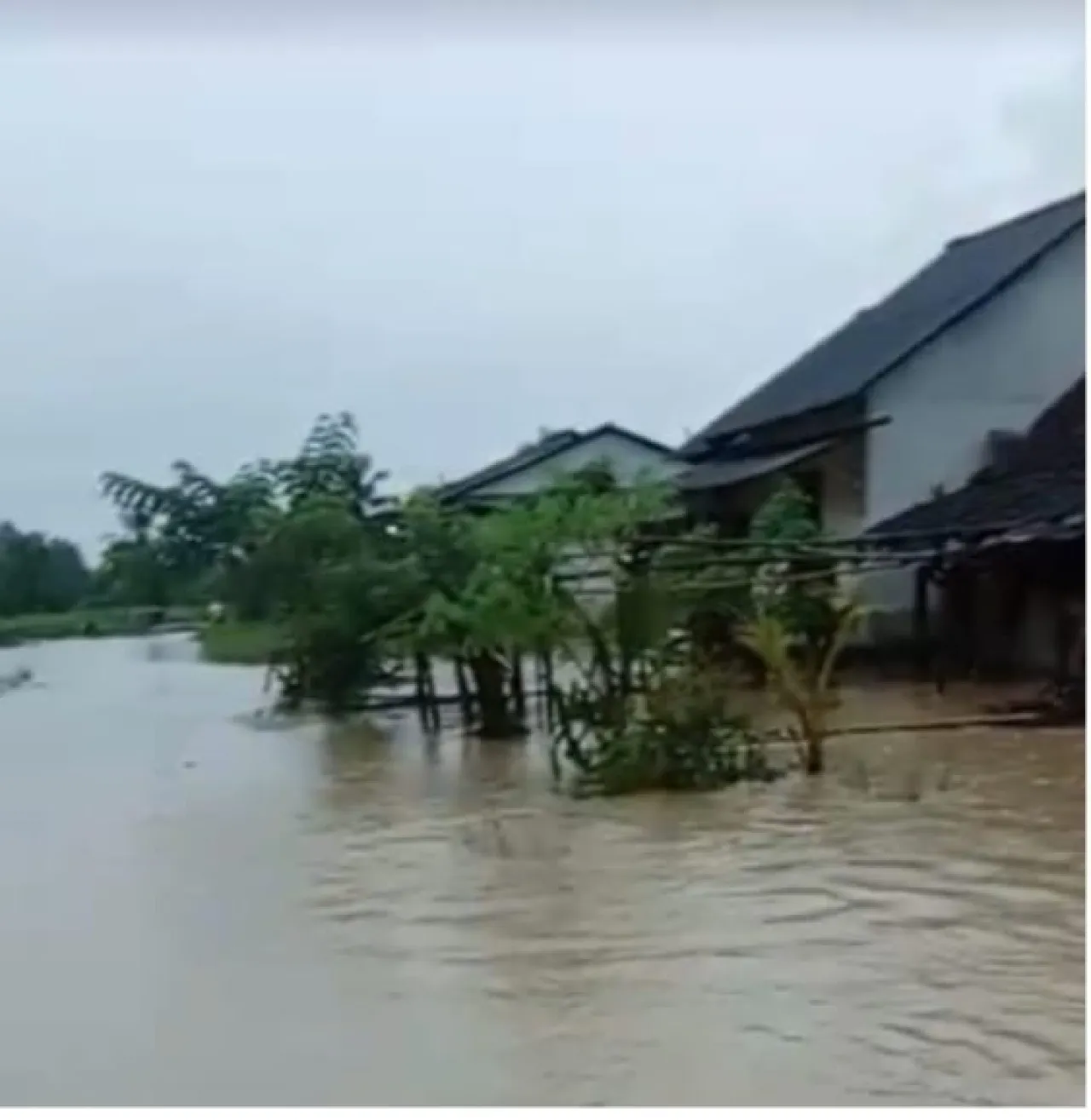 Kampung Porma Desa Mekarsari Terendam Banjir, Air Setinggi Lutut Orang Dewasa