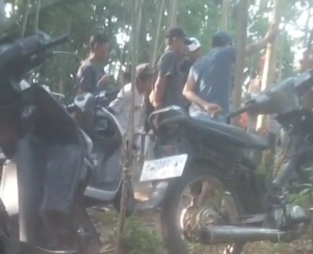 Diduga Jadi Arena Sabung Ayam dan Beragam Judi, Aktivitas di Karang Anyar Lumajang Disebut Berlangsung Hingga Tengah Mal