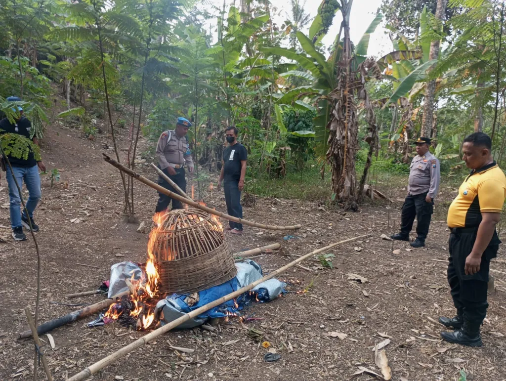 Diduga Arena Sabung Ayam, Sejumlah Sarana di Desa Wadung Pakisaji Dimusnahkan Polisi