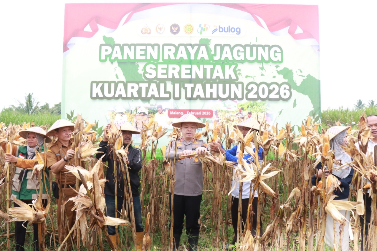 Polres Malang Panen Raya Jagung Serentak, Hasil 8 Ton untuk Dukung Stok Pangan