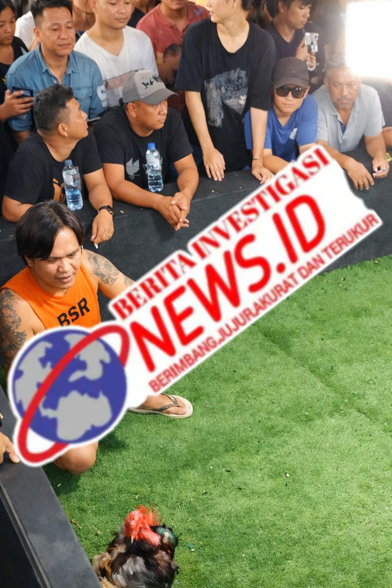 Nama Kifli Sepang Mencuat Lagi di Ratatotok, Dugaan Jaringan PETI dan Judi Sabung Ayam Terkuak