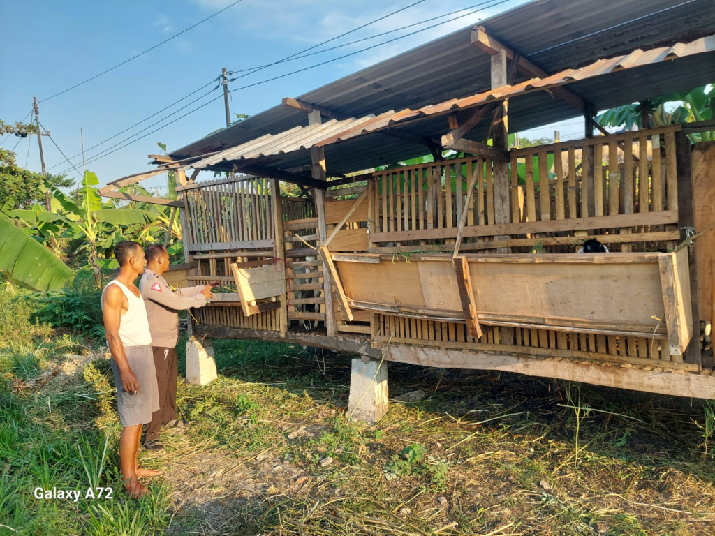 Bhabinkamtibmas Bangil Pantau Budidaya Ternak Kambing di Latek, Dukung Program P2B Asta Cita
