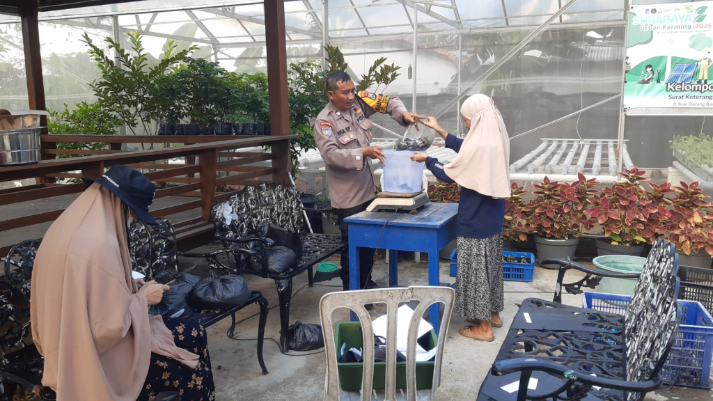 Sinergi Polsek Krembangan dan KWT Dorang Cinta Panen Lele, Dukung Ketahanan Pangan Nasional. 