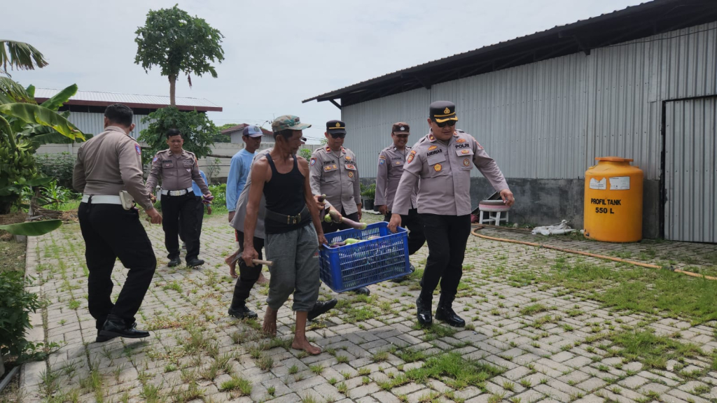 Polres Pelabuhan Tanjung Perak Panen Raya Terong Tumpang Sari Dukung Swasembada Pangan