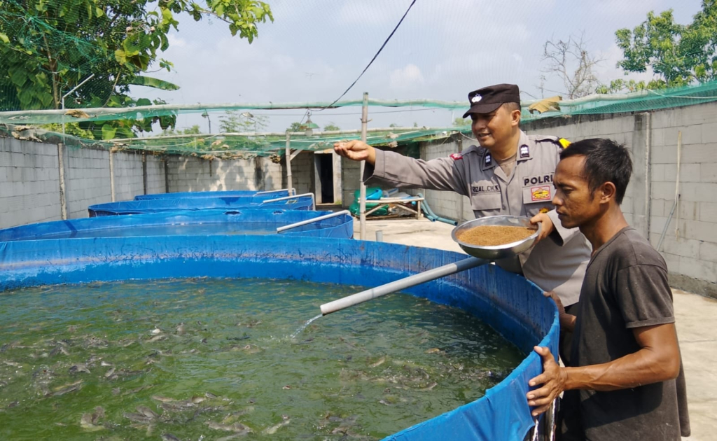 Bhabinkamtibmas Polsek Rembang Pantau Budidaya Lele, Dukung Ketahanan Pangan Nasional