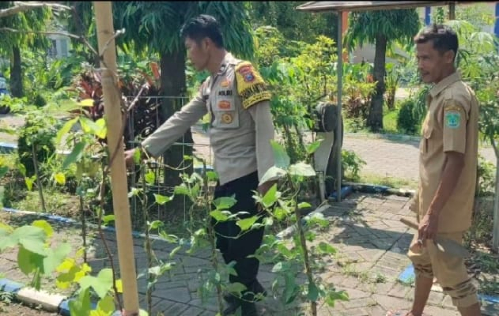 Bhabinkamtibmas Polsek Bangil Dorong Ketahanan Pangan Lewat P2B di Kalirejo