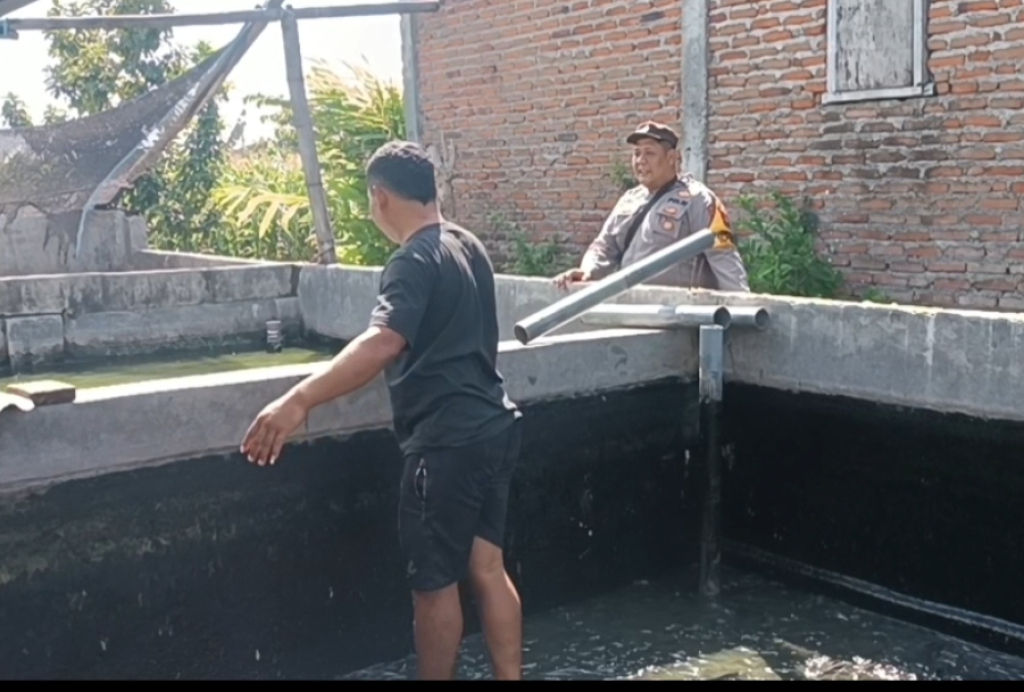 Pantau Budidaya Lele di Genengwaru, Bhabinkamtibmas Pastikan Pertumbuhan Ikan Berjalan Baik
