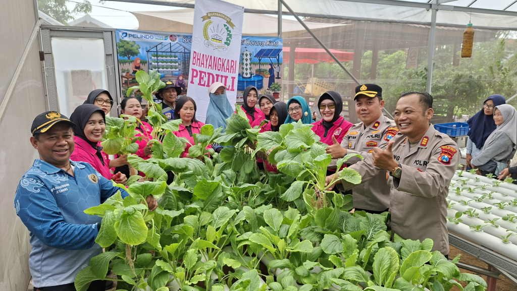Polsek Krembangan Gelar Ketahanan Pangan, Tanam-Panen Sawi dan Tebar Benih Lele