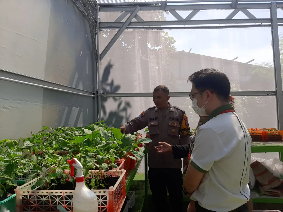Dukung Asta Cita, Polres Pelabuhan Tanjung Perak Berdayakan Kelompok Tani Tanam Golden Melon