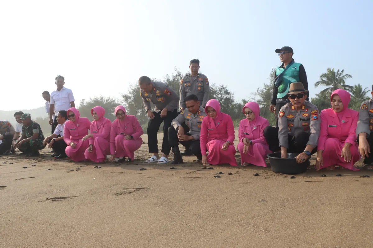 Ecology Policing : Polres Trenggalek Tanam Mangrove dan Lepas Liarkan Ratusan Tukik