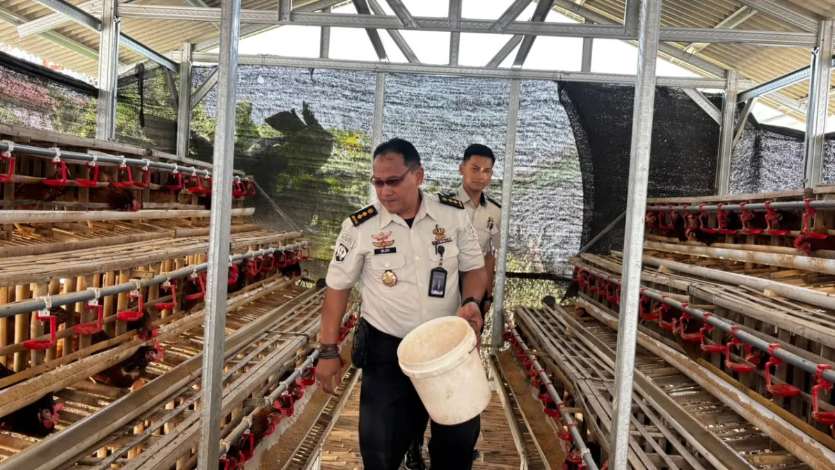 Lapas Kelas I Madiun Panen 60 Kilogram Lele dan 15 Kilogram Telur Ayam di Brandgang Ecopark