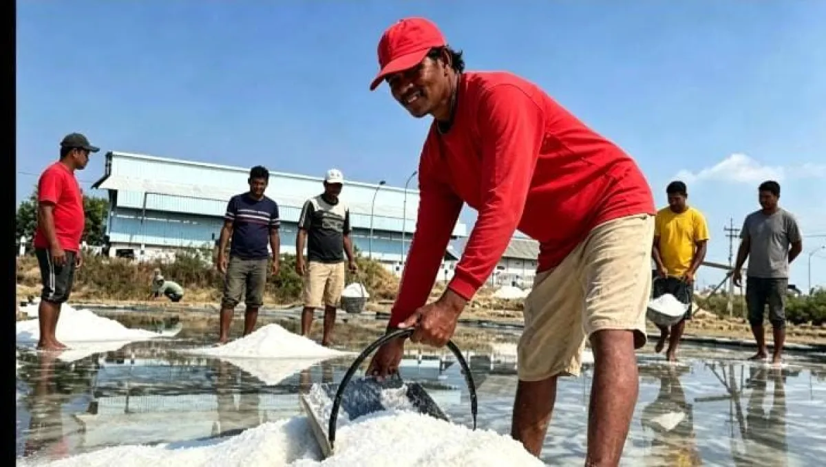 PT Garam Buka Suara Soal Rencana Pembangunan Pabrik Garam MVR di Sampang